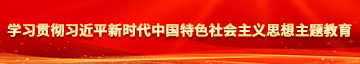 被男人草逼学习贯彻习近平新时代中国特色社会主义思想主题教育